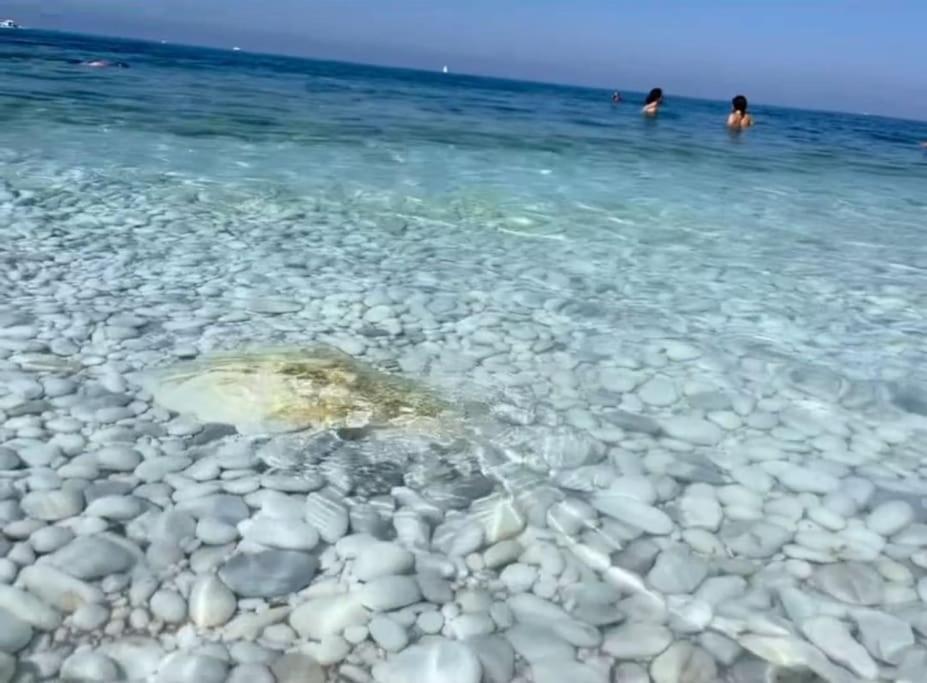Casa Vacanze Marina Di Pisa Catola Eksteriør bilde