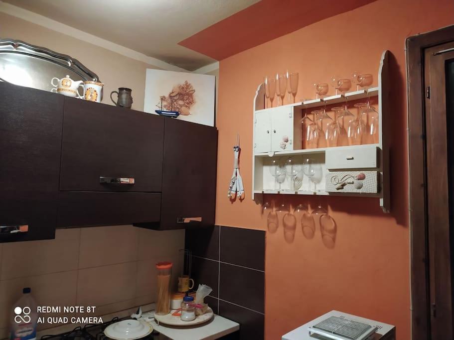 Casa Vacanze Marina Di Pisa Catola Eksteriør bilde